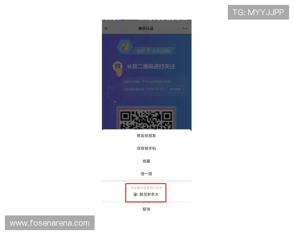 尊龙手机登录界面操作指南提升用户操作体验